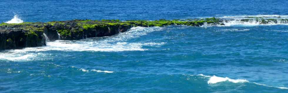 15 octobre 2017 - St-Pierre - Sentier littoral de la CIVIS - Pointe du Diable