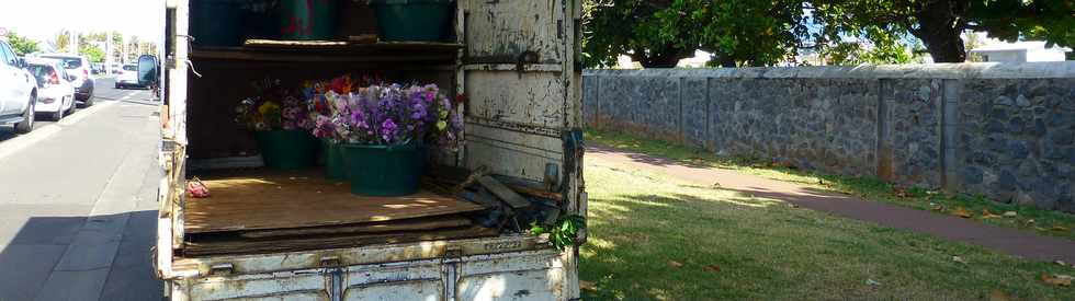 5 novembre 2017 - St-Pierre - Fleurs de Toussaint