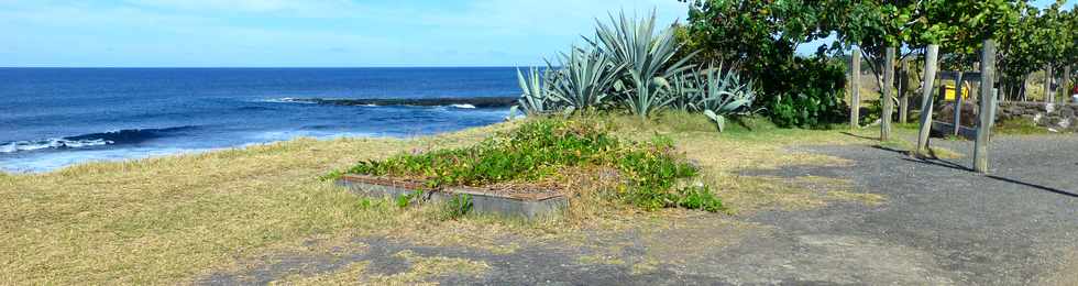 5 novembre 2017 - St-Pierre - Pointe du Diable -