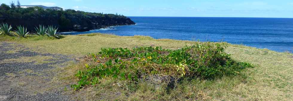 5 novembre 2017 - St-Pierre - Pointe du Diable -