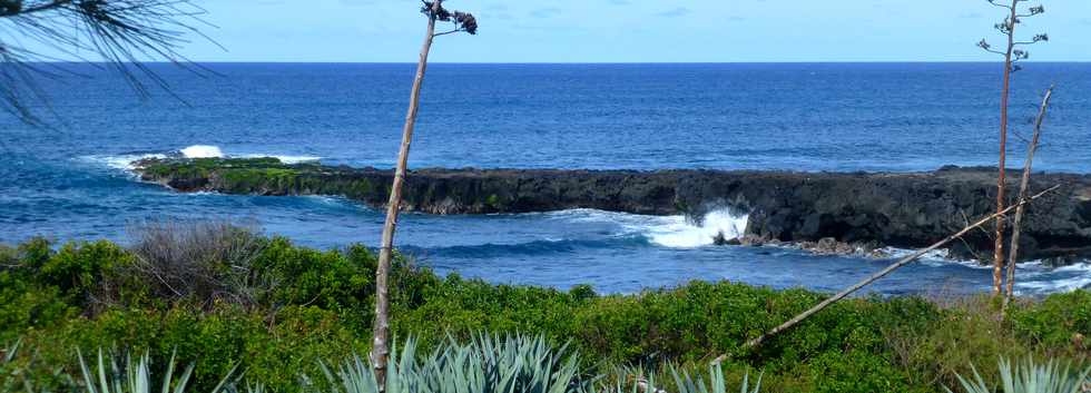 5 novembre 2017 - St-Pierre - Pointe du Diable -