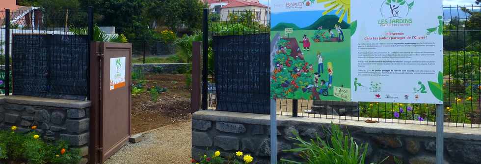 5 novembre 2017 - St-Pierre - Bois d'Olives - Jardins partagés de l'Olivier