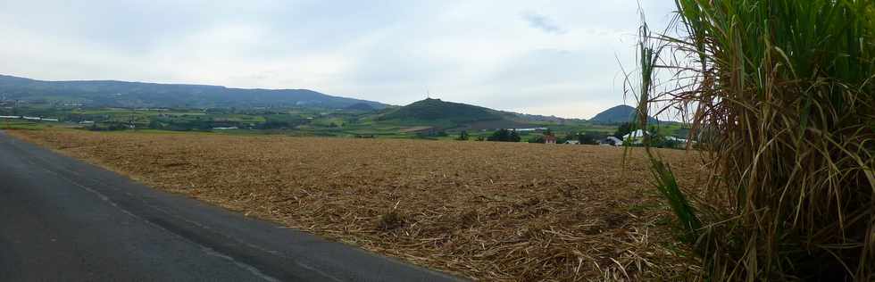 12 novembre 2017 - St-Pierre - Voie cannire - Champs coups mcaniquement