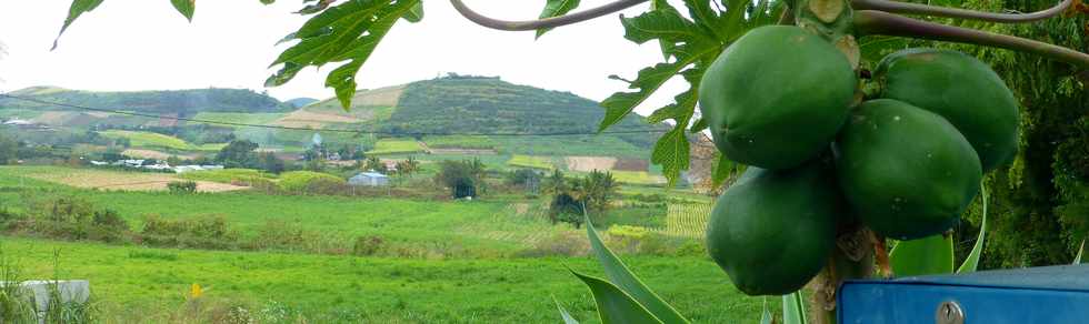 12 novembre 2017 - St-Pierre - Voie cannire - Vue sur Piton de Bassin Martin