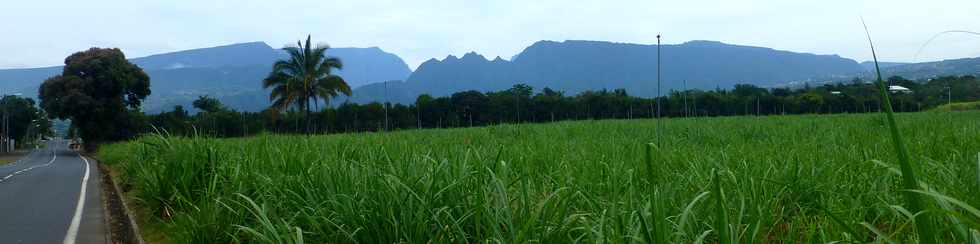 12 novembre 2017 - St-Pierre - Ligne des Bambous -