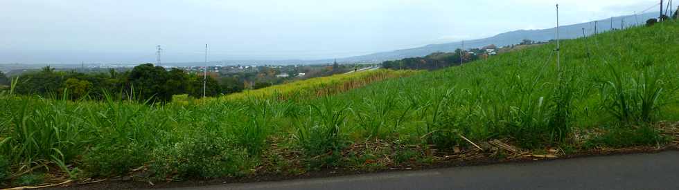 12 novembre 2017 - St-Pierre - Ravine des Cabris - Chemin Lenormand