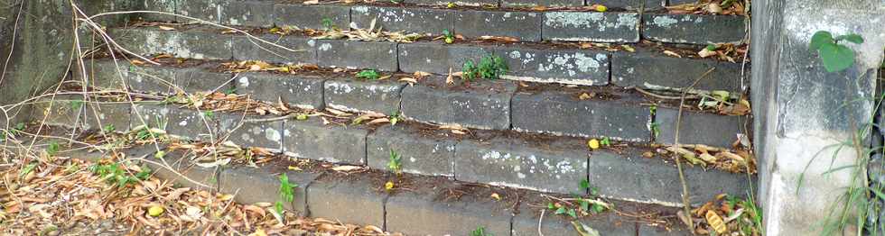 12 novembre 2017 - St-Pierre - Escalier de la Maison Lenormand