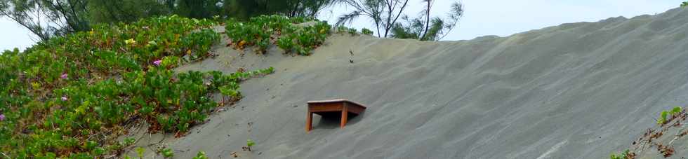 12 novembre 2017 - St-Pierre - Pointe du Diable - Saline Balance  - Amnagement du littoral ouest