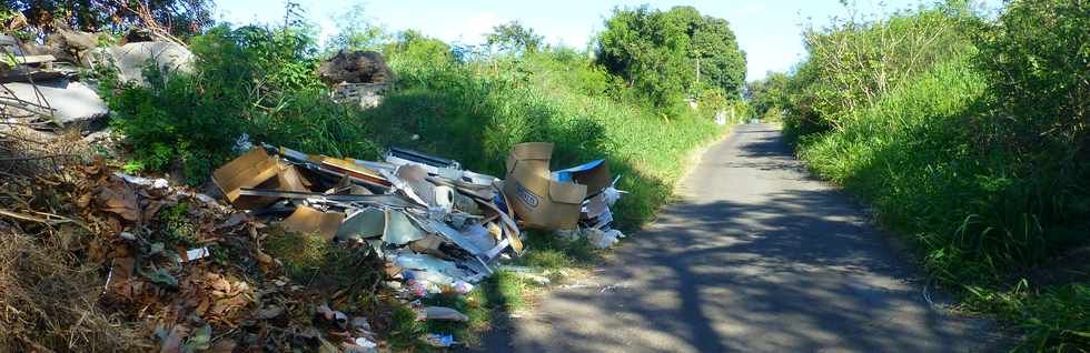 26 novembre 2017 - St-Pierre - Bois d'Olives - Chemin canalisation Sabrap