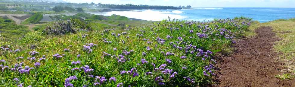 3 dcembre 2017 - St-Pierre - Chantier de l'amnagement du littoral ouest -