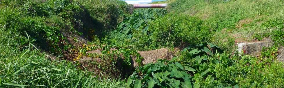 3 dcembre 2017 - St-Pierre - Chantier de l'amnagement du littoral ouest -