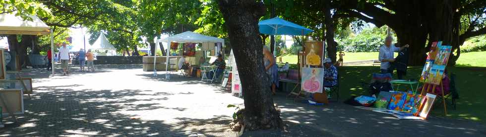 3 dcembre 2017 - St-Pierre - Opration Peintres en plein air