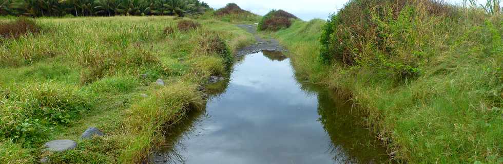 18 mars 2018 - St-Pierre - Pierrefonds - Chemin littoral inond