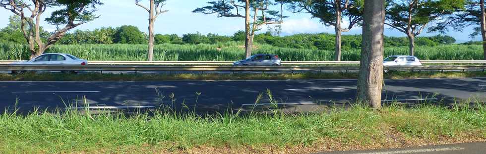 21 mars 2018 - St-Pierre - Voie cannire - Emplacement bretelle route des graniums ?