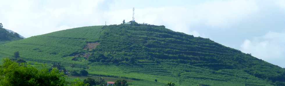 21 mars 2018 - St-Pierre - Voie cannire - Piton de Bassin Martin