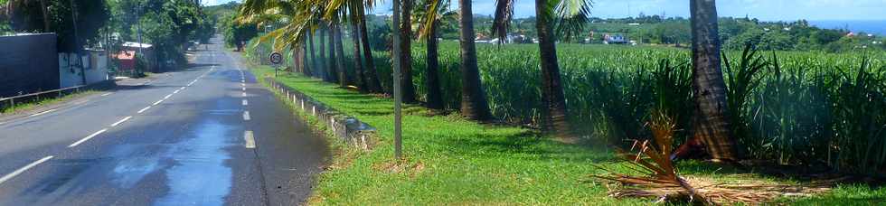 23 mars 2018 - St-Pierre - Ligne Paradis - Arrosage cannes