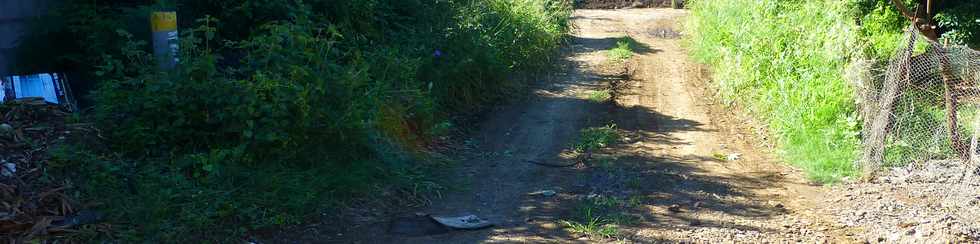 28 mars 2018 - St-Pierre - Chemin Canal Sabrap - Bois d'Olives