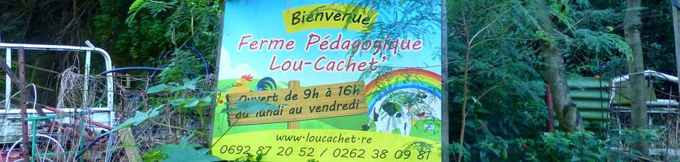 8 avril 2018 - Rivière St-Louis - RN5 - Route de Cilaos - Les Aloès - Ferme pédagogique Lou-Cachet'