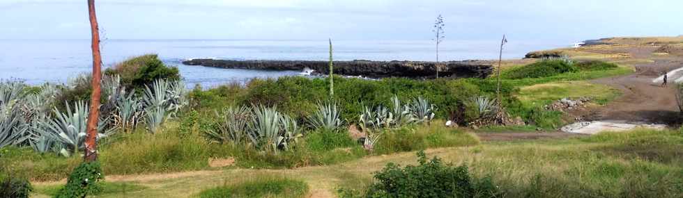 22 avril 2018 - St-Pierre - Chantier amnagement littoral ouest - Pointe du Diable -