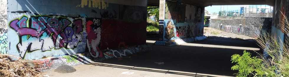 4 mai 2018 - St-Pierre - Arts de rue sous les ponts de la ravine Blanche