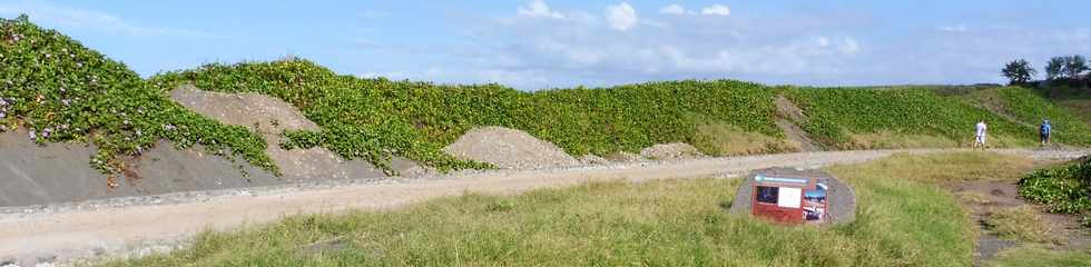 10 mai 2018 - St-Pierre - Chantier de l'amnagement du littoral ouest -  Saline Balance