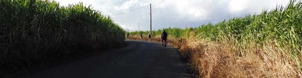 20 mai 2018 - St-Pierre - Chemin de Bassin Plat - Cyclistes