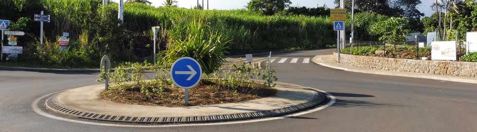 20 mai 2018 - St-Pierre - Ravine des Cafres