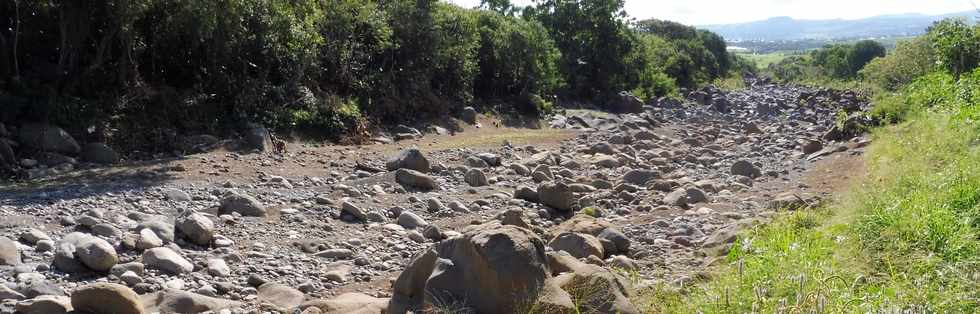 1er juin 2018 - St-Pierre - Chemin de Bassin Plat - Rivire d'Abord