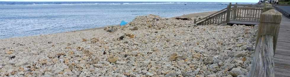 3 juin 2018 - St-Pierre - Coraux sur la plage