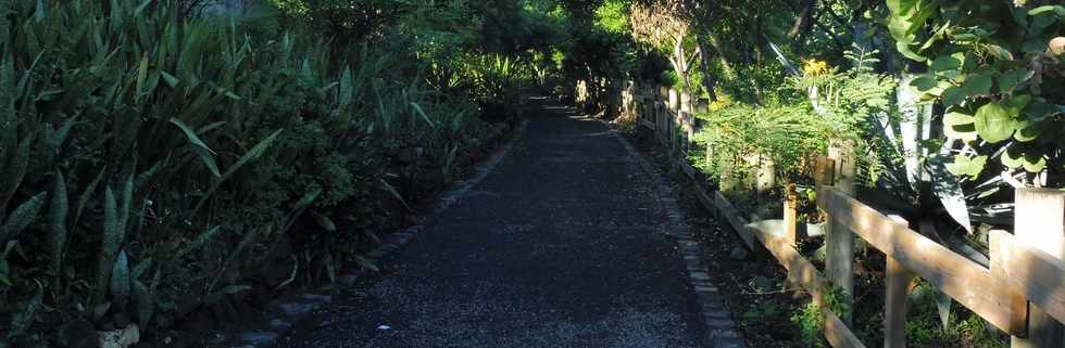 10 juin 2018 - St-Pierre - Sentier littoral vers Pointe du Diable