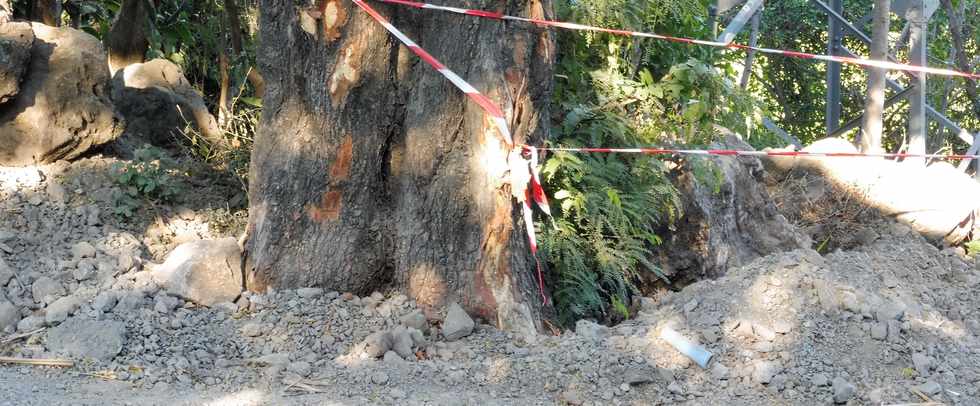 19 aot 2018 - St-Pierre - Bois d'Olives - Travaux sur la D38 - Vieux tamarin