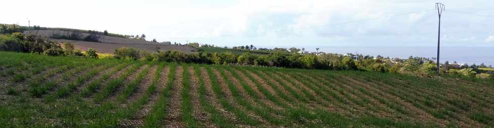 7 octobre 2018 - St-Pierre - Chemin de Bassin Plat - Cannes