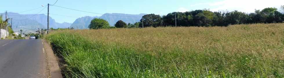 11 novembre 2018 - St-Pierre - Chemin Diagonal -Herbages  -