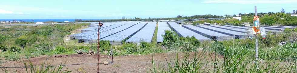 11 novembre 2018 - St-Pierre - Pierrefonds - Ferme solaire