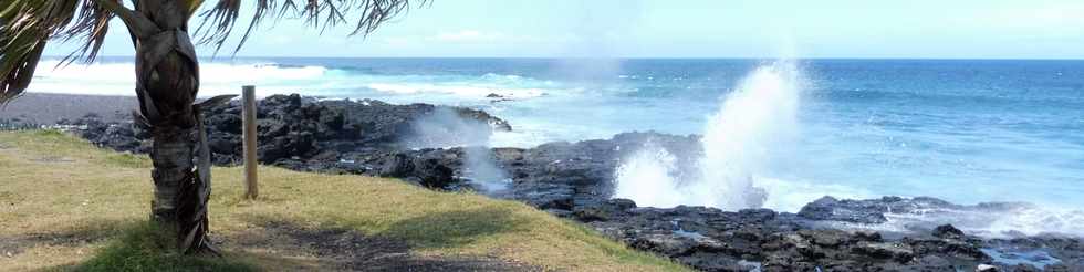 11 novembre 2018 - St-Pierre - Littoral de Ravine Blanche -