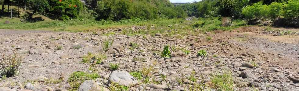 30 novembre 2018 - St-Pierre - Rivire d'Abord