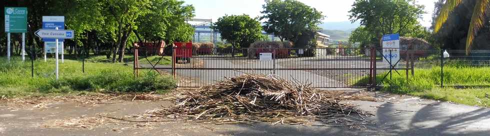 2 dcembre 2018 - St-Pierre - Rond-point de la Balance -  Cannes devant le Centre de rception