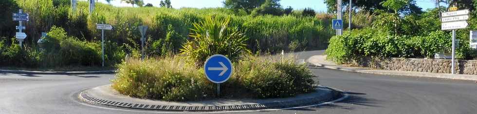 31 mars 2019 - St-Pierre - Ravine des Cafres - Rond-point