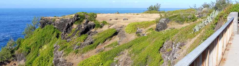 31 mars 2019 - St-Pierre - Pointe de la Ravine des Cafres -