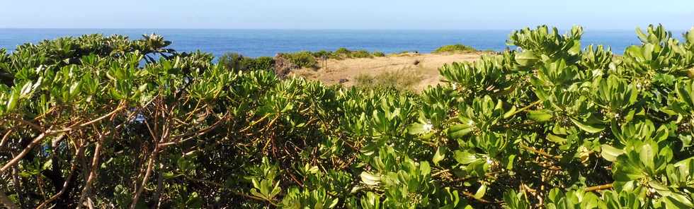 31 mars 2019 - St-Pierre - Ravine des Cafres - Espace naturel