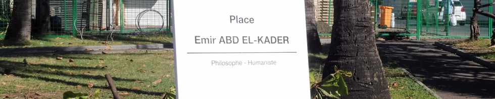 31 mars 2019 - St-Pierre - Badamier attaqué par les carias  Place Emir Abd El-Kader