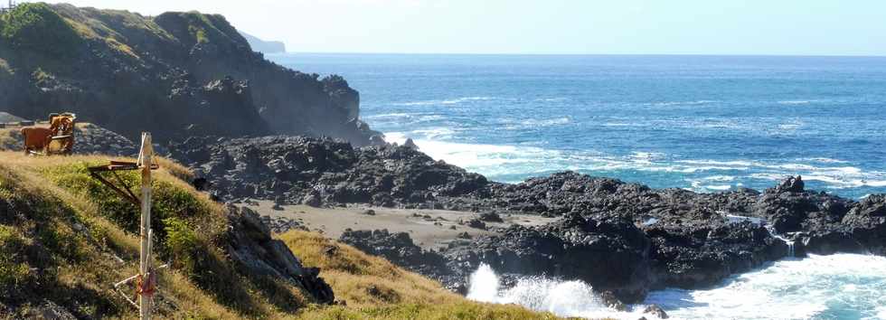 31 mars 2019 - St-Pierre - Terre Sainte - Pointe du Gouffre -