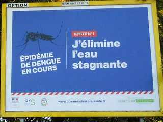 12 mai 2019 - St-Pierre - Pub dengue - ARS
