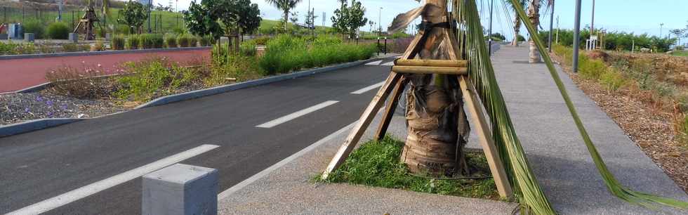 12 mai 2019 - St-Pierre - ZAC Roland Hoareau - Rue Adam de Villiers