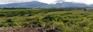 19 mai 2019 - St-Pierre - Coul�e de ponces et cendres (c�t� ravine des cabris)