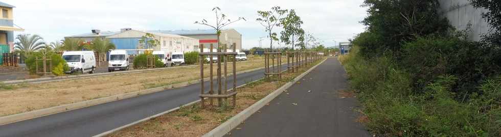 19 mai 2019 - St-Pierre - Ligne Paradis - ZI4