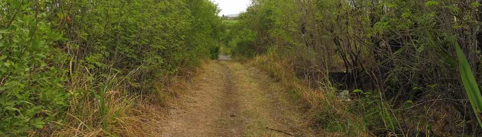 19 mai 2019 - St-Pierre - Descente vers la ravine des Cabris