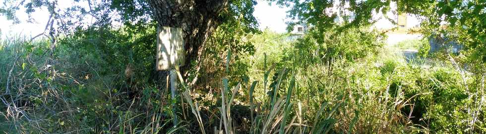 16 juin 2019 - St-Pierre - Bois d'Olives -  Canal St-Etienne - Panneau "Baignade interdite"