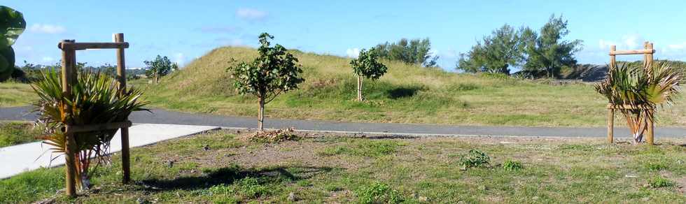 16 juin 2019 - St-Pierre - Saline Balance - Colline