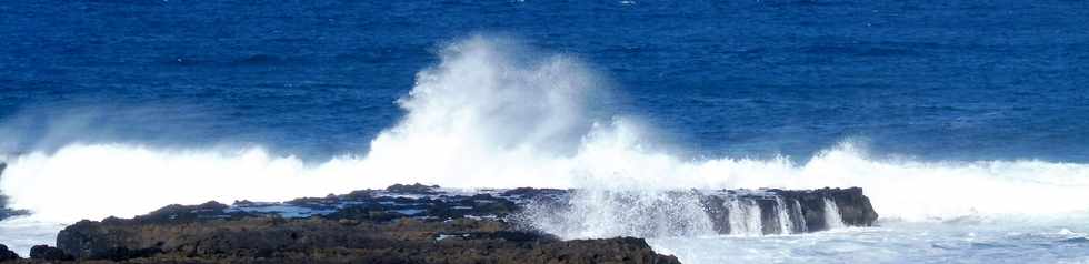 16 juin 2019 - St-Pierre - Pointe du Diable -